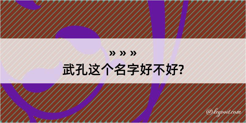 武孔这个名字好不好?