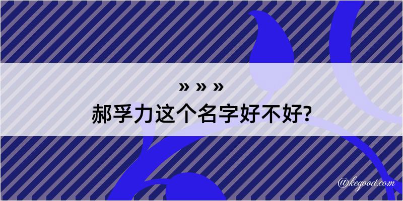 郝孚力这个名字好不好?