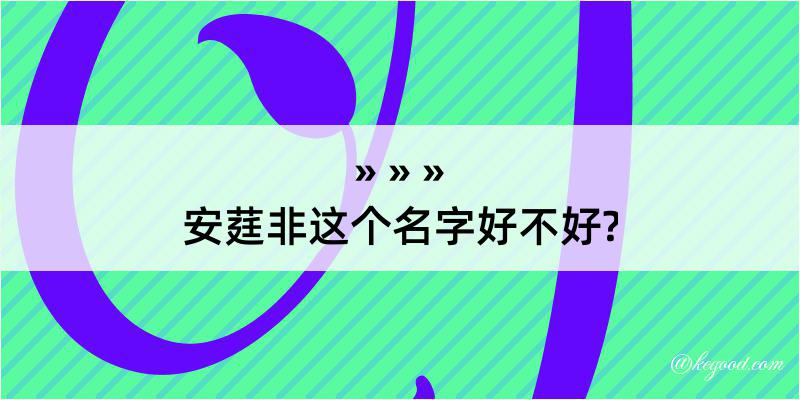 安莛非这个名字好不好?