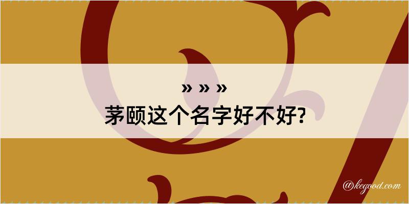 茅颐这个名字好不好?