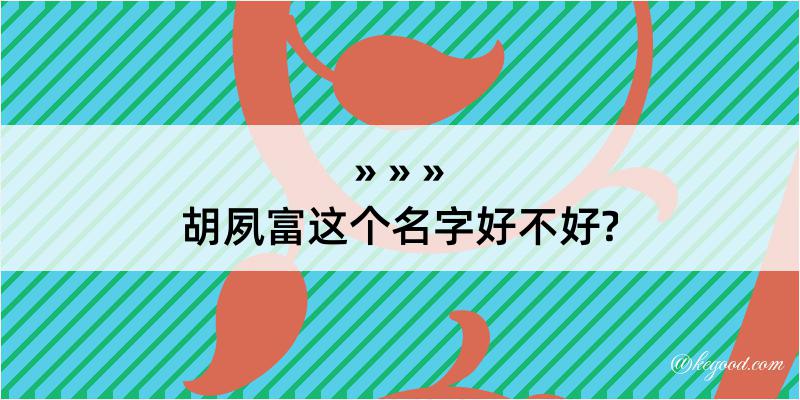 胡夙富这个名字好不好?