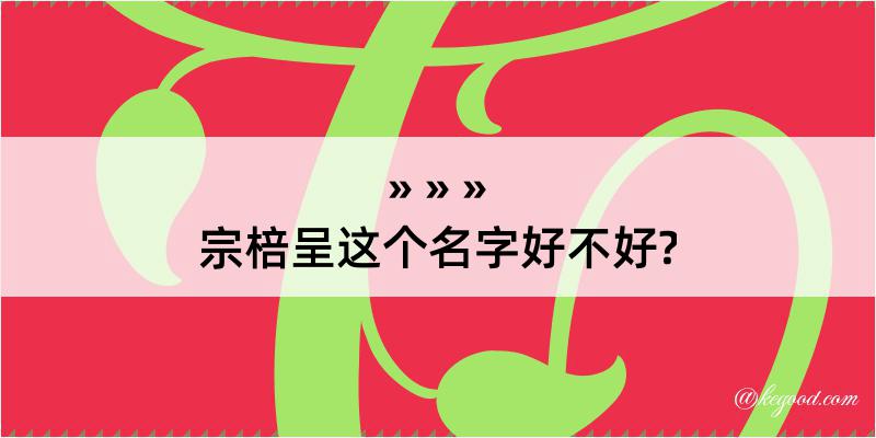 宗棓呈这个名字好不好?