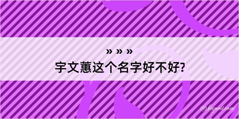 宇文蕙这个名字好不好?