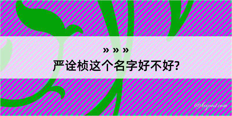 严诠桢这个名字好不好?