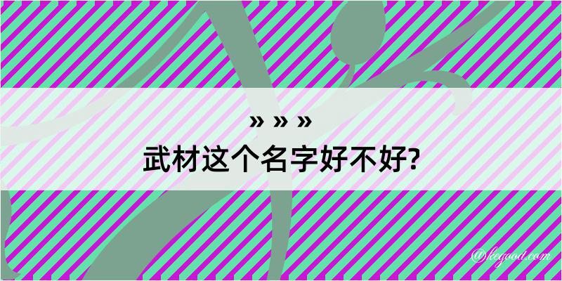 武材这个名字好不好?