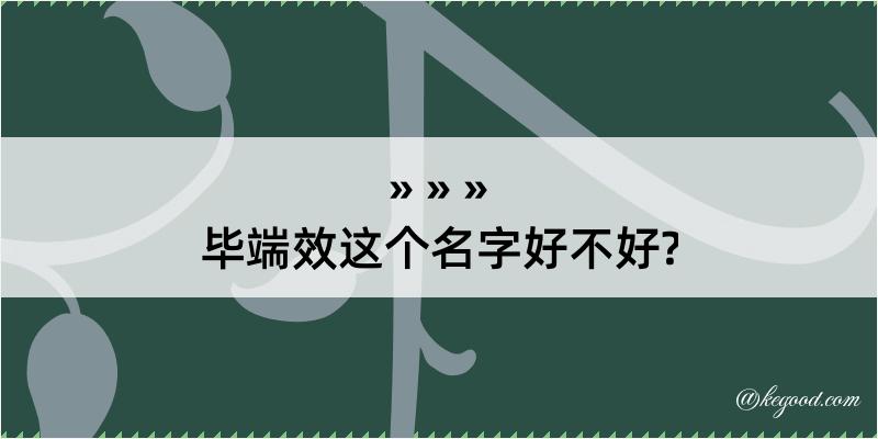 毕端效这个名字好不好?