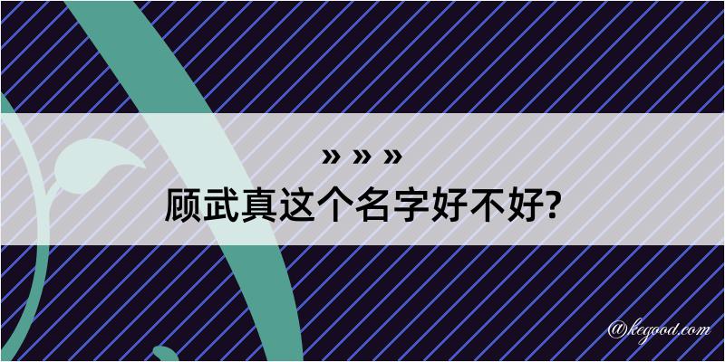 顾武真这个名字好不好?