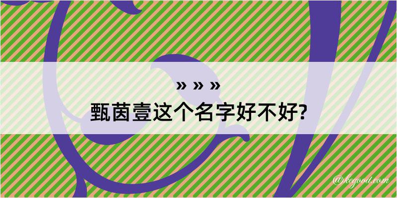 甄茵壹这个名字好不好?