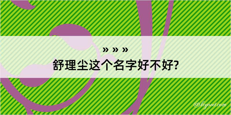 舒理尘这个名字好不好?