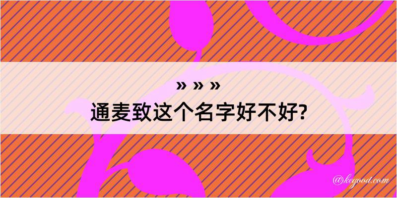 通麦致这个名字好不好?