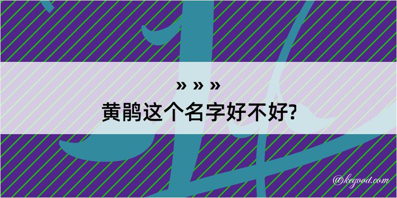 黄鹃这个名字好不好?