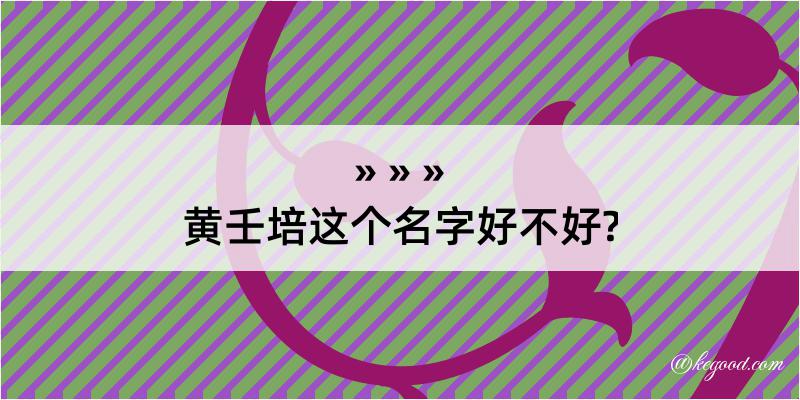 黄壬培这个名字好不好?