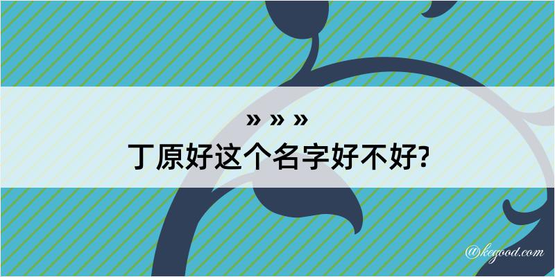 丁原好这个名字好不好?