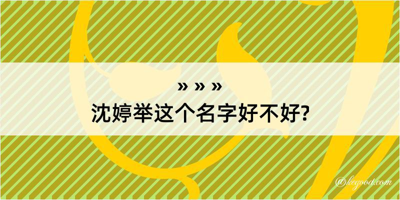 沈婷举这个名字好不好?