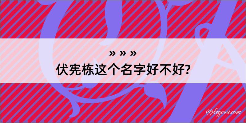 伏宪栋这个名字好不好?