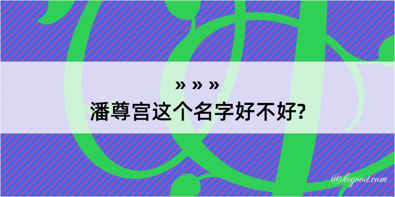 潘尊宫这个名字好不好?