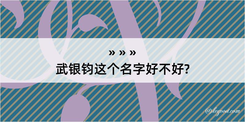 武银钧这个名字好不好?