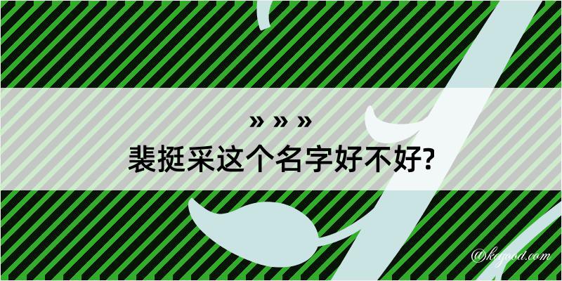 裴挺采这个名字好不好?