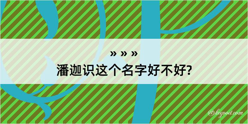 潘迦识这个名字好不好?