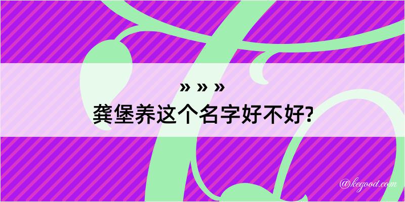 龚堡养这个名字好不好?