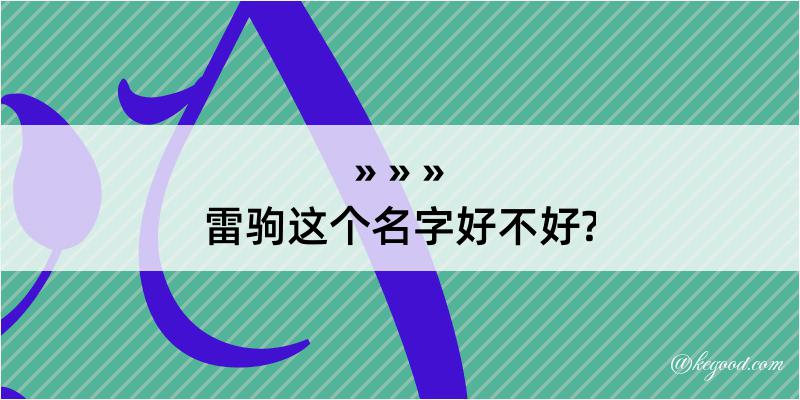 雷驹这个名字好不好?