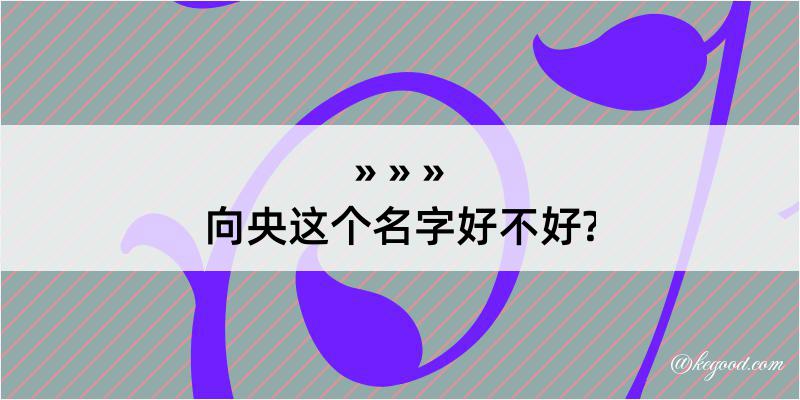 向央这个名字好不好?