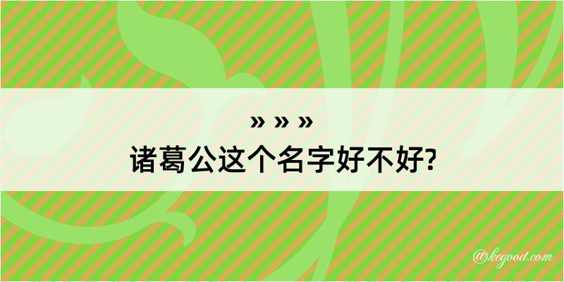 诸葛公这个名字好不好?