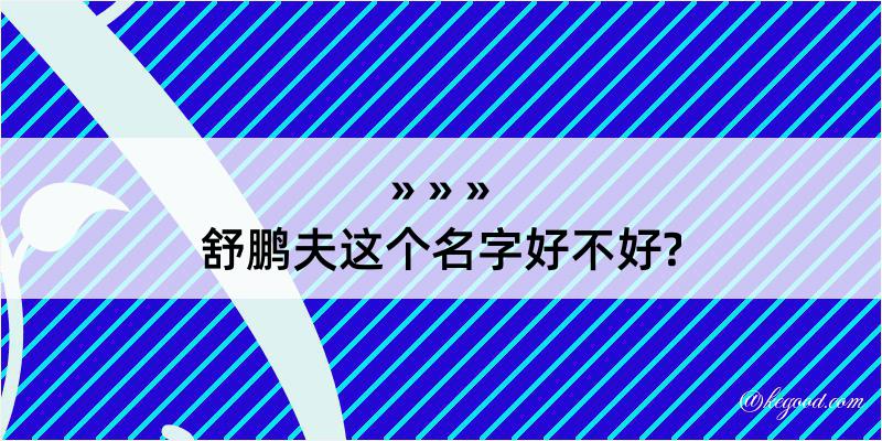 舒鹏夫这个名字好不好?