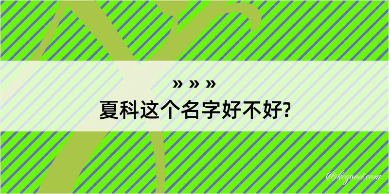 夏科这个名字好不好?