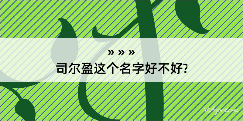 司尔盈这个名字好不好?