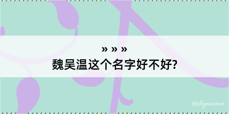 魏吴温这个名字好不好?