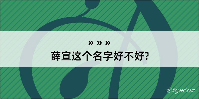 薛宣这个名字好不好?