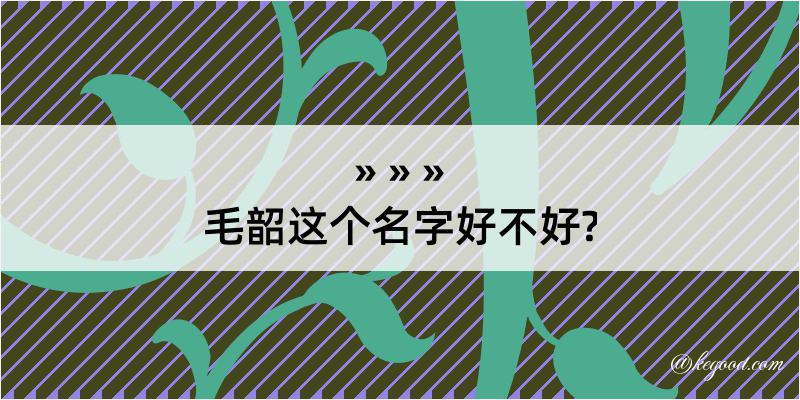 毛韶这个名字好不好?