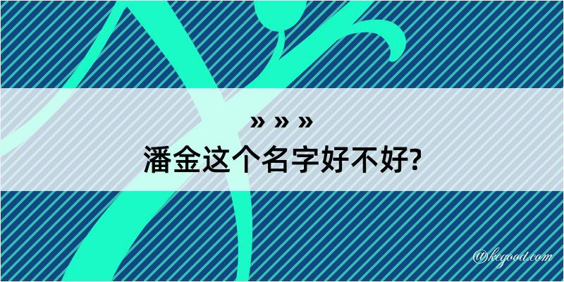 潘金这个名字好不好?