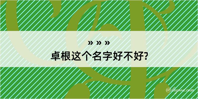 卓根这个名字好不好?