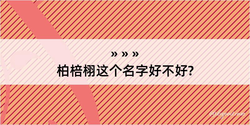 柏棓栩这个名字好不好?