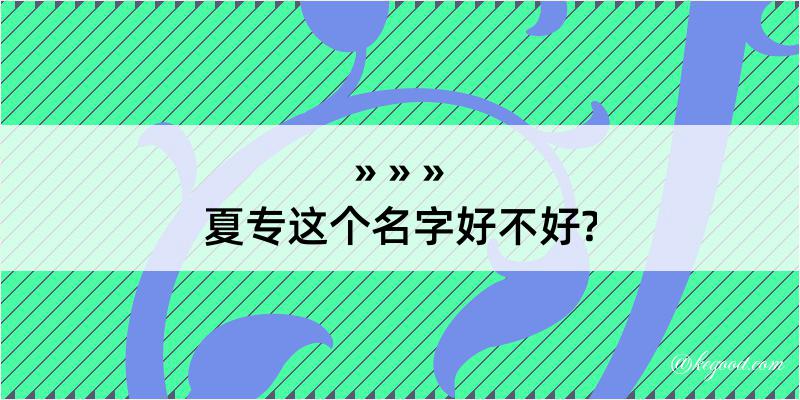 夏专这个名字好不好?