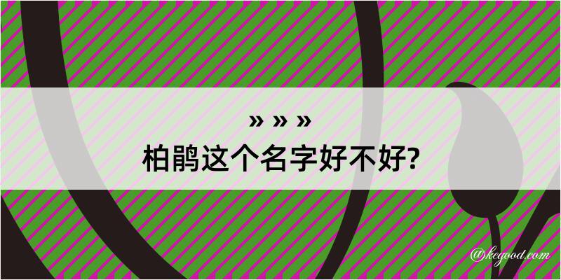 柏鹃这个名字好不好?