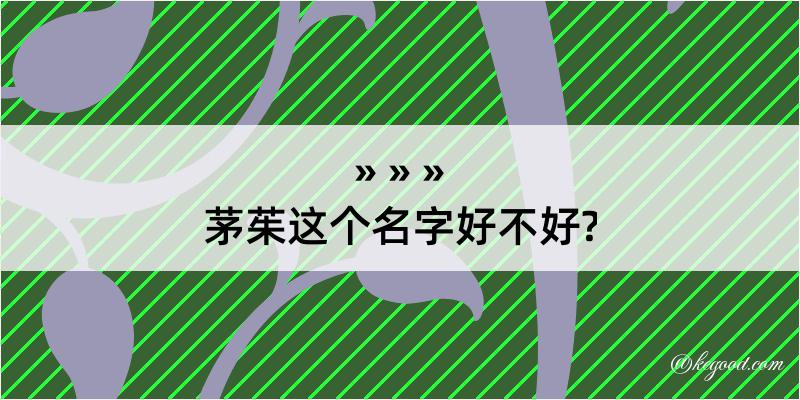 茅茱这个名字好不好?