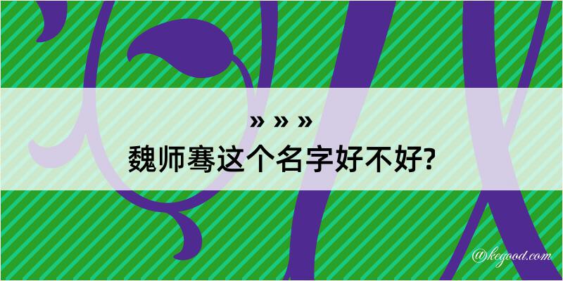 魏师骞这个名字好不好?