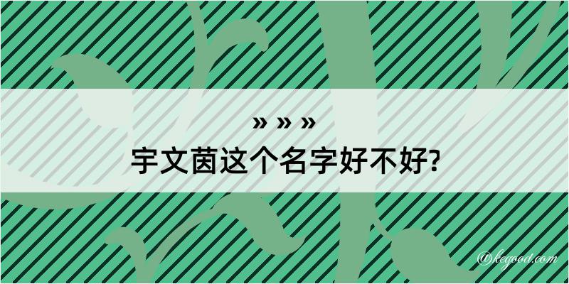 宇文茵这个名字好不好?