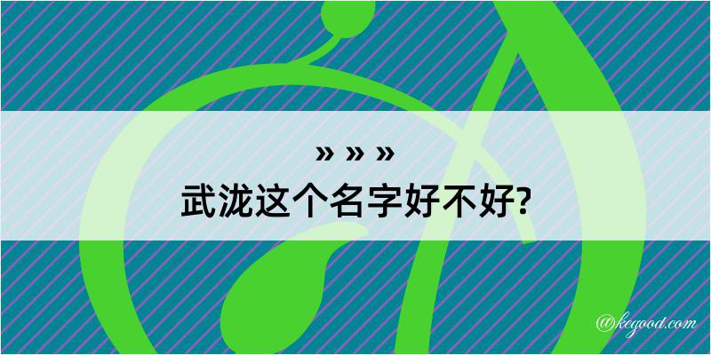 武泷这个名字好不好?