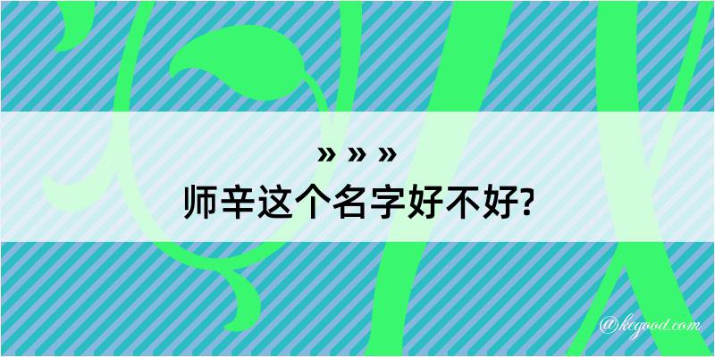 师辛这个名字好不好?