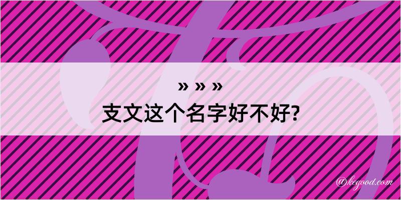 支文这个名字好不好?