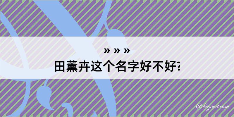 田薰卉这个名字好不好?