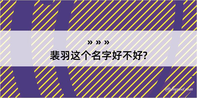 裴羽这个名字好不好?