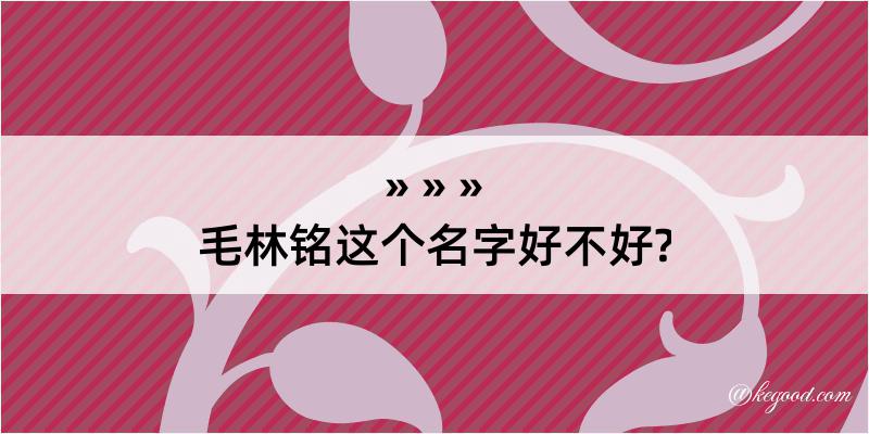 毛林铭这个名字好不好?