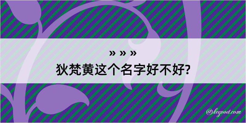 狄梵黄这个名字好不好?