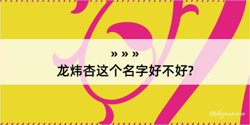 龙炜杏这个名字好不好?