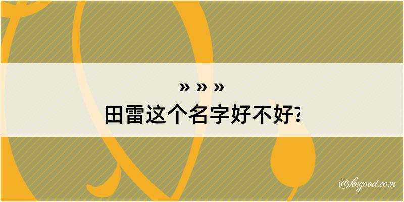 田雷这个名字好不好?